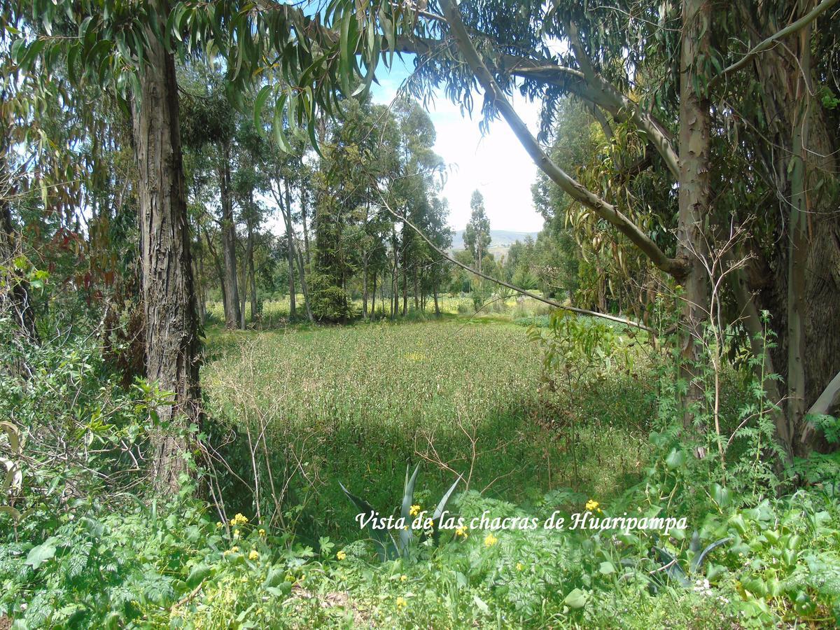 Pousada Villa Huaripampa Jauja Extérieur photo